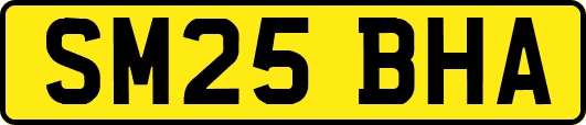 SM25BHA