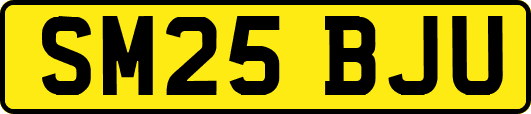 SM25BJU