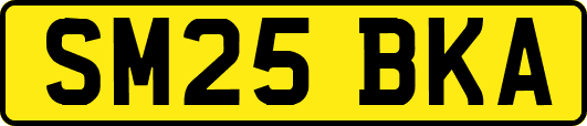 SM25BKA