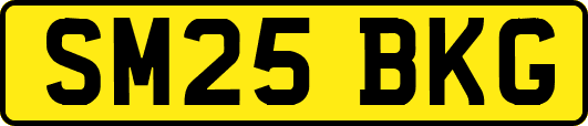 SM25BKG