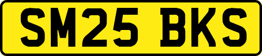 SM25BKS