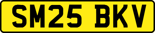 SM25BKV