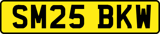 SM25BKW