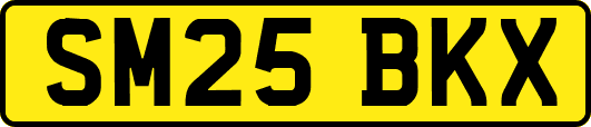 SM25BKX