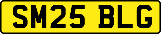 SM25BLG