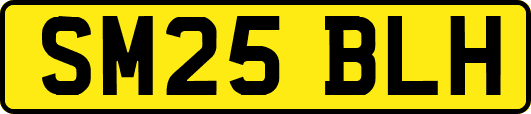 SM25BLH