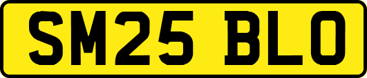 SM25BLO