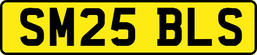 SM25BLS