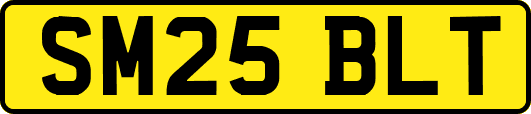 SM25BLT