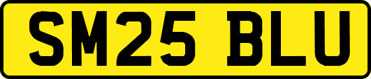 SM25BLU
