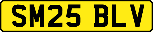 SM25BLV