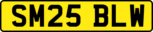 SM25BLW
