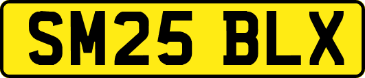 SM25BLX