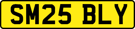 SM25BLY
