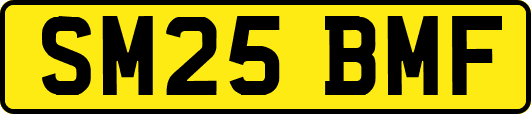 SM25BMF