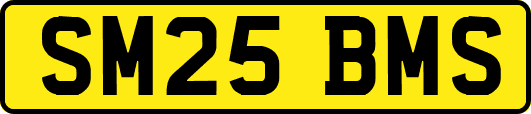 SM25BMS