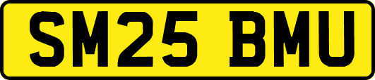 SM25BMU