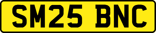 SM25BNC