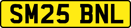 SM25BNL