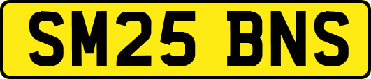 SM25BNS