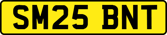 SM25BNT