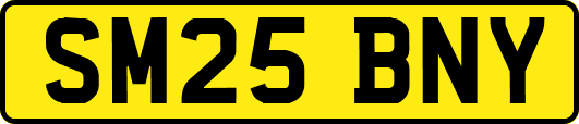 SM25BNY