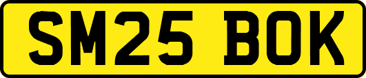 SM25BOK