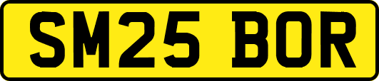 SM25BOR