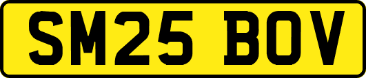 SM25BOV