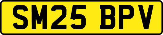 SM25BPV