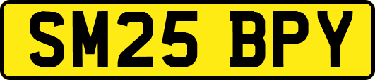 SM25BPY