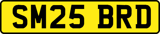 SM25BRD