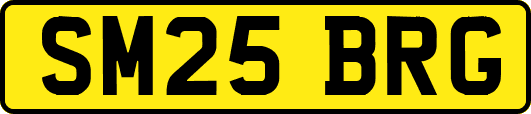 SM25BRG