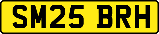 SM25BRH