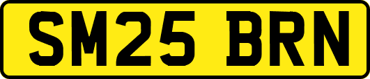 SM25BRN