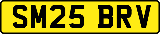 SM25BRV