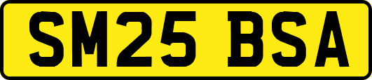 SM25BSA