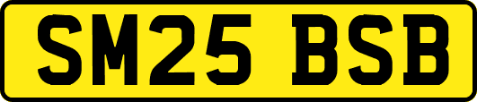 SM25BSB