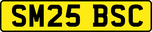 SM25BSC