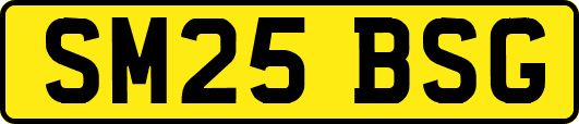 SM25BSG