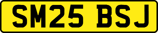 SM25BSJ
