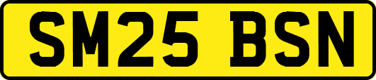 SM25BSN