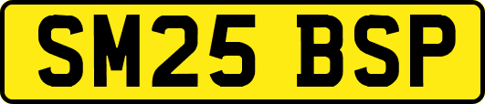 SM25BSP