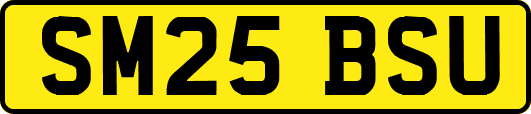 SM25BSU