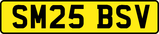 SM25BSV
