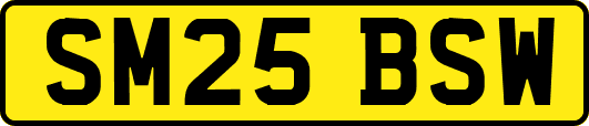 SM25BSW