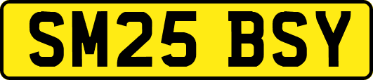 SM25BSY