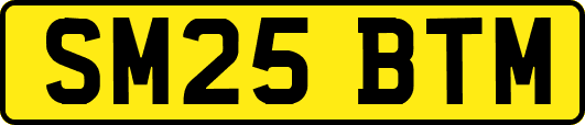 SM25BTM