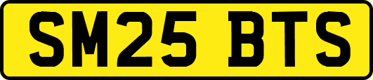 SM25BTS