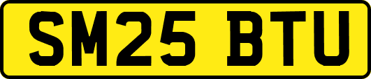 SM25BTU